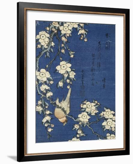 Bullfinch and Weeping Cherry (Uso, shidarezakura), from an untitled series of flowers and birds-Katsushika Hokusai-Framed Premium Giclee Print