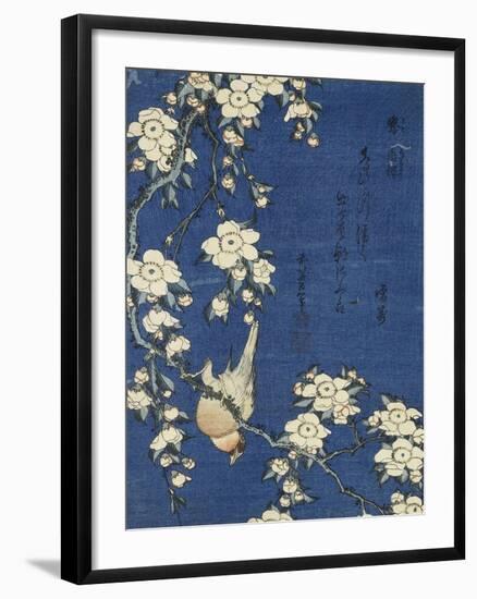 Bullfinch and Weeping Cherry (Uso, shidarezakura), from an untitled series of flowers and birds-Katsushika Hokusai-Framed Premium Giclee Print