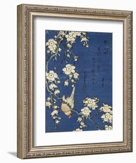 Bullfinch and Weeping Cherry (Uso, shidarezakura), from an untitled series of flowers and birds-Katsushika Hokusai-Framed Giclee Print