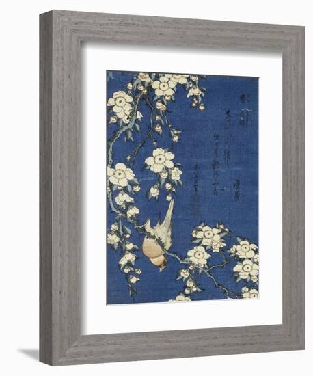 Bullfinch and Weeping Cherry (Uso, shidarezakura), from an untitled series of flowers and birds-Katsushika Hokusai-Framed Giclee Print