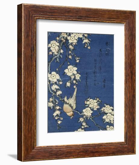 Bullfinch and Weeping Cherry (Uso, shidarezakura), from an untitled series of flowers and birds-Katsushika Hokusai-Framed Giclee Print