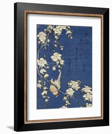 Bullfinch and Weeping Cherry (Uso, shidarezakura), from an untitled series of flowers and birds-Katsushika Hokusai-Framed Giclee Print