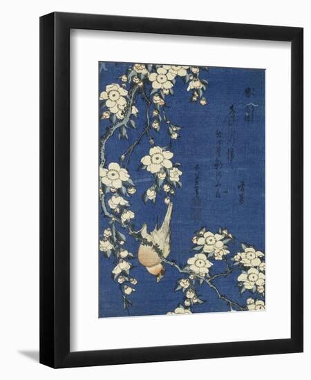 Bullfinch and Weeping Cherry (Uso, shidarezakura), from an untitled series of flowers and birds-Katsushika Hokusai-Framed Giclee Print