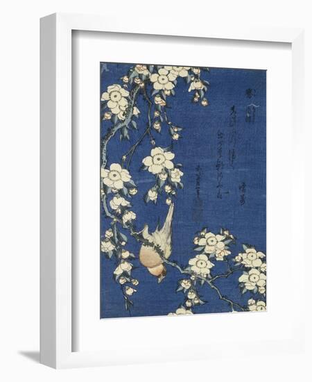 Bullfinch and Weeping Cherry (Uso, shidarezakura), from an untitled series of flowers and birds-Katsushika Hokusai-Framed Giclee Print