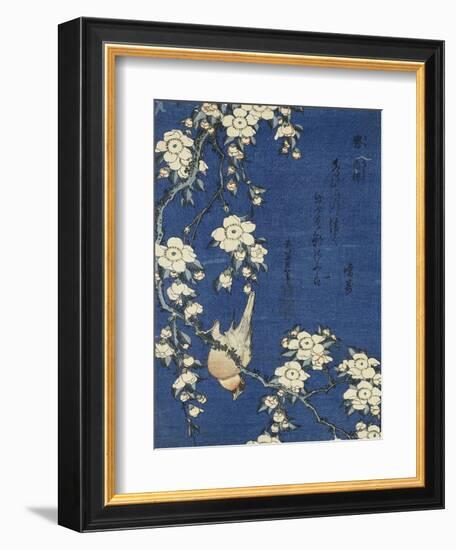 Bullfinch and Weeping Cherry (Uso, shidarezakura), from an untitled series of flowers and birds-Katsushika Hokusai-Framed Giclee Print