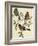 Bullfinch (Pyrrhula Pyrrhula) (1804-1881). United Kingdom, 19th Century-John Gould-Framed Giclee Print
