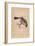 'Bullfinch', (Pyrrhula pyrrhula), c1850, (1856)-Unknown-Framed Giclee Print