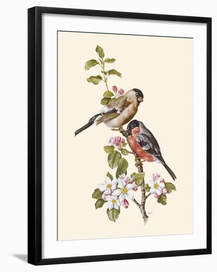 Bullfinch-Anatole Marlin-Framed Giclee Print