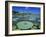 Bullfrog, Adult on American Lotus Lilypad, Welder Wildlife Refuge, Sinton, Texas, USA-Rolf Nussbaumer-Framed Photographic Print