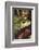 Bullfrog-Lynn M^ Stone-Framed Photographic Print