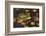 Bullfrog-Lynn M^ Stone-Framed Photographic Print