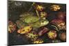 Bullfrog-Lynn M^ Stone-Mounted Photographic Print