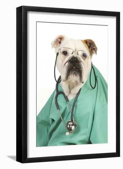 Bullin Vets Scrubs Wearing Glasses and Stethoscope-null-Framed Photographic Print