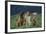 Bullmastiff, Collie and Weimaraner in Field-DLILLC-Framed Photographic Print