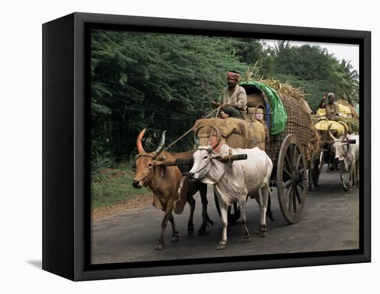 Bullock Carts are the Main Means of Transport for Local Residents, Tamil Nadu State, India-R H Productions-Framed Premier Image Canvas