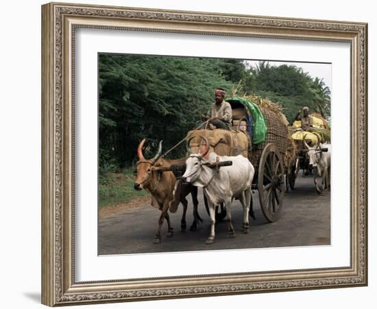 Bullock Carts are the Main Means of Transport for Local Residents, Tamil Nadu State, India-R H Productions-Framed Photographic Print