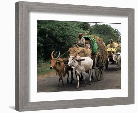 Bullock Carts are the Main Means of Transport for Local Residents, Tamil Nadu State, India-R H Productions-Framed Photographic Print