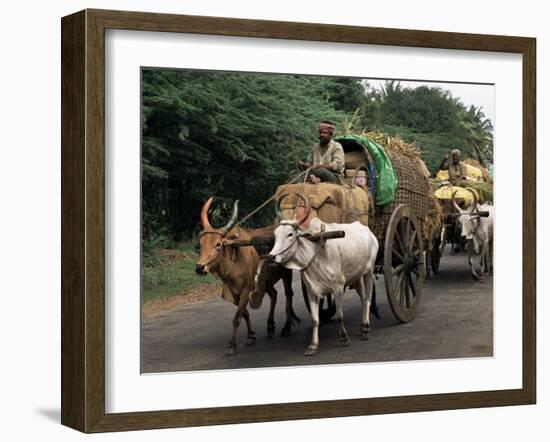 Bullock Carts are the Main Means of Transport for Local Residents, Tamil Nadu State, India-R H Productions-Framed Photographic Print