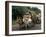 Bullock Carts are the Main Means of Transport for Local Residents, Tamil Nadu State, India-R H Productions-Framed Photographic Print