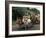 Bullock Carts are the Main Means of Transport for Local Residents, Tamil Nadu State, India-R H Productions-Framed Photographic Print