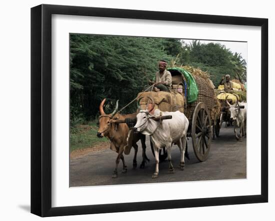 Bullock Carts are the Main Means of Transport for Local Residents, Tamil Nadu State, India-R H Productions-Framed Photographic Print