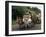 Bullock Carts are the Main Means of Transport for Local Residents, Tamil Nadu State, India-R H Productions-Framed Photographic Print