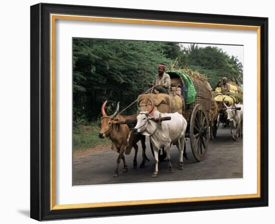 Bullock Carts are the Main Means of Transport for Local Residents, Tamil Nadu State, India-R H Productions-Framed Photographic Print