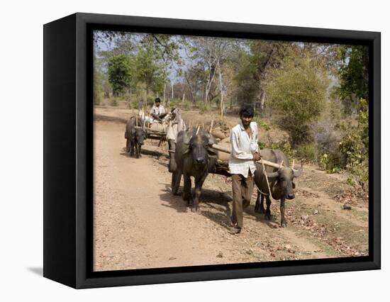 Bullock Carts, Tala, Bandhavgarh National Park, Madhya Pradesh, India-Thorsten Milse-Framed Premier Image Canvas