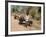 Bullock Carts, Tala, Bandhavgarh National Park, Madhya Pradesh, India-Thorsten Milse-Framed Photographic Print