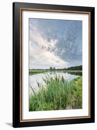 Bullrushes on Bank and Still Waters of River Mark, Breda, North Brabant, The Netherlands (Holland)-Mark Doherty-Framed Photographic Print