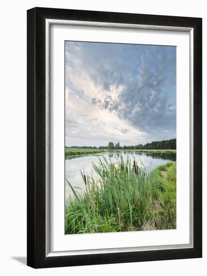 Bullrushes on Bank and Still Waters of River Mark, Breda, North Brabant, The Netherlands (Holland)-Mark Doherty-Framed Photographic Print