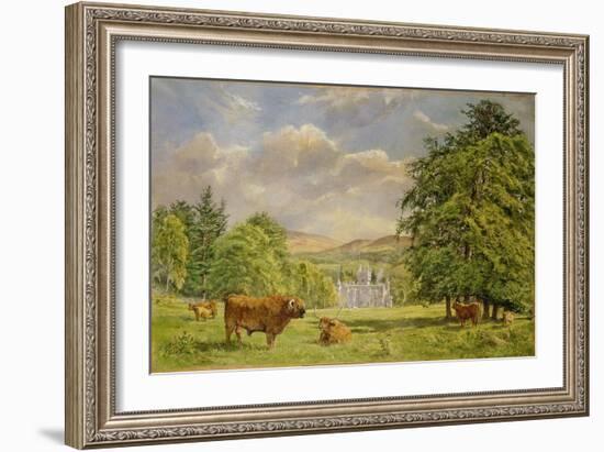 Bulls at Balmoral, 1988-Tim Scott Bolton-Framed Giclee Print