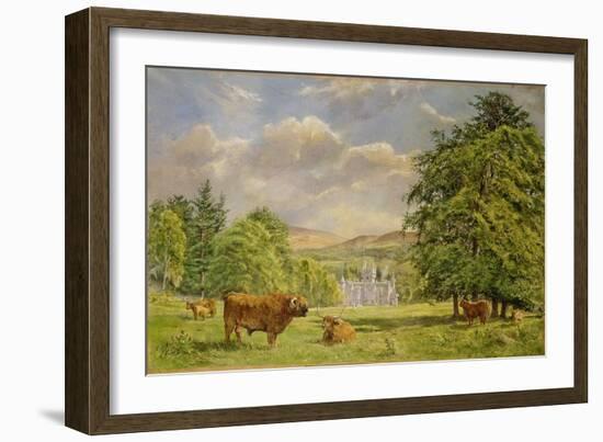 Bulls at Balmoral, 1988-Tim Scott Bolton-Framed Giclee Print