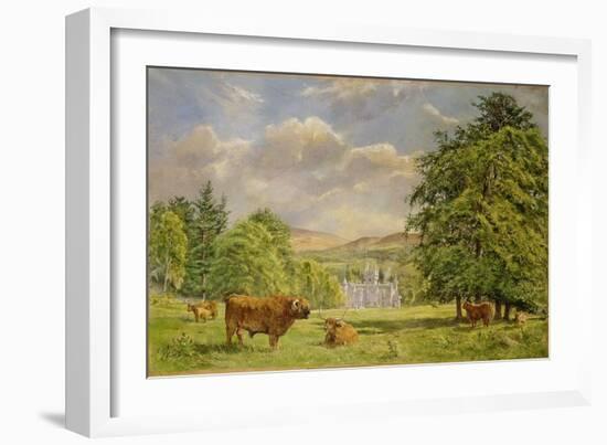 Bulls at Balmoral, 1988-Tim Scott Bolton-Framed Giclee Print