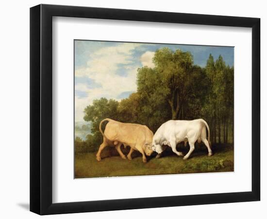 Bulls Fighting, 1786 (Oil on Panel)-George Stubbs-Framed Premium Giclee Print