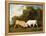 Bulls Fighting, 1786 (Oil on Panel)-George Stubbs-Framed Premier Image Canvas