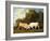 Bulls Fighting, 1786 (Oil on Panel)-George Stubbs-Framed Giclee Print