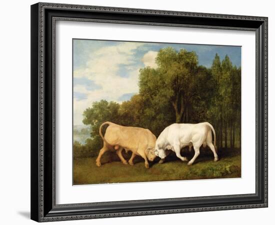 Bulls Fighting, 1786 (Oil on Panel)-George Stubbs-Framed Giclee Print