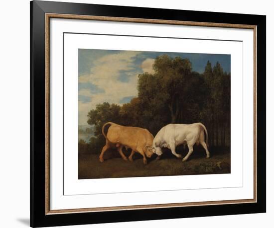 Bulls Fighting-George Stubbs-Framed Premium Giclee Print