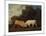 Bulls Fighting-George Stubbs-Mounted Premium Giclee Print