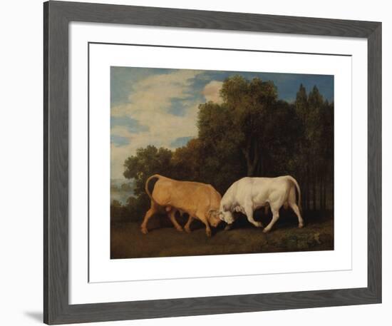 Bulls Fighting-George Stubbs-Framed Premium Giclee Print