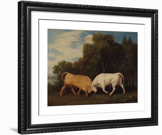 Bulls Fighting-George Stubbs-Framed Premium Giclee Print