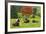 Bulls on Pasture and Maple Tree, Black Forest, Schwarzwald-Baar, Baden-Wurttemberg, Germany, Europe-Jochen Schlenker-Framed Photographic Print