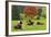 Bulls on Pasture and Maple Tree, Black Forest, Schwarzwald-Baar, Baden-Wurttemberg, Germany, Europe-Jochen Schlenker-Framed Photographic Print