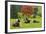 Bulls on Pasture and Maple Tree, Black Forest, Schwarzwald-Baar, Baden-Wurttemberg, Germany, Europe-Jochen Schlenker-Framed Photographic Print