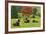 Bulls on Pasture and Maple Tree, Black Forest, Schwarzwald-Baar, Baden-Wurttemberg, Germany, Europe-Jochen Schlenker-Framed Photographic Print