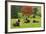 Bulls on Pasture and Maple Tree, Black Forest, Schwarzwald-Baar, Baden-Wurttemberg, Germany, Europe-Jochen Schlenker-Framed Photographic Print