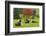 Bulls on Pasture and Maple Tree, Black Forest, Schwarzwald-Baar, Baden-Wurttemberg, Germany, Europe-Jochen Schlenker-Framed Photographic Print