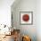 Bullseye-Sydney Edmunds-Framed Giclee Print displayed on a wall