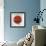 Bullseye-Sydney Edmunds-Framed Giclee Print displayed on a wall